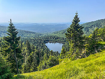 Blick auf den Rachelsee im Bayerischen Wald